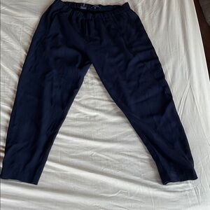 Babaton Black dress pants